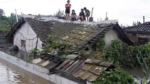 Lũ lụt khiến Triều Tiên cần hỗ trợ lương thực khẩn cấp